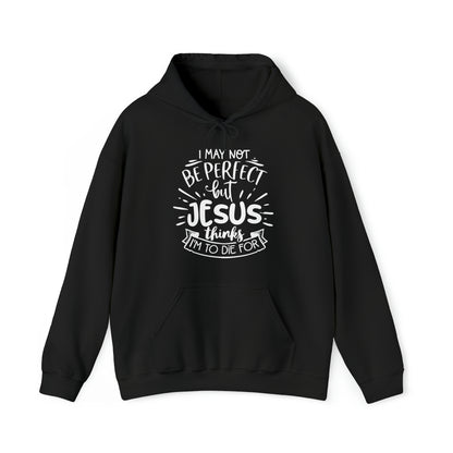 Not Perfect Unisex Heavy Blend™ Hooded Sweatshirt