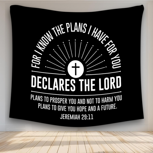 The Plans I Have For You