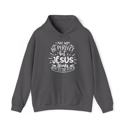 Not Perfect Unisex Heavy Blend™ Hooded Sweatshirt