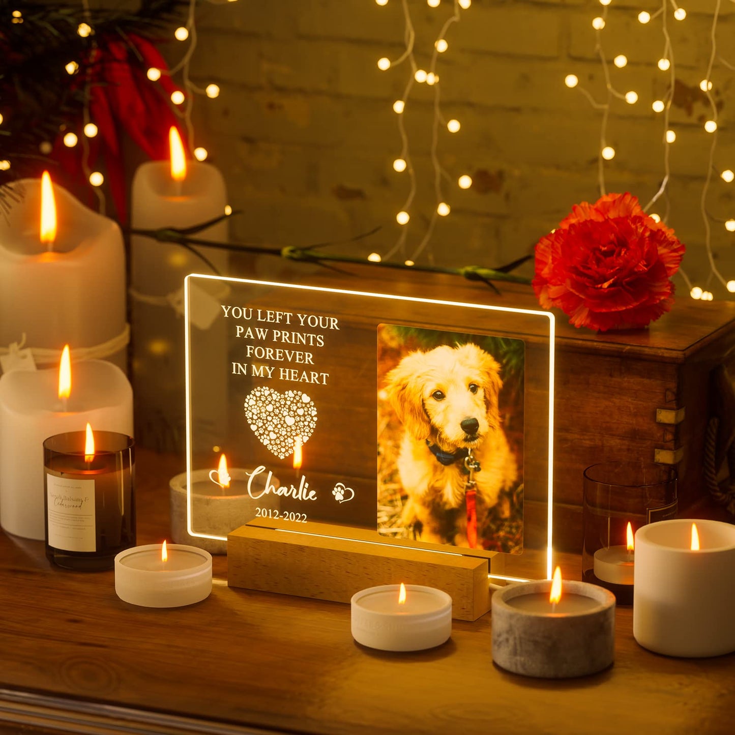 Personalized Dog/Cat Memorial Gifts Custom Photo Night Lights Memorial Photo Frame Sympathy Gifts